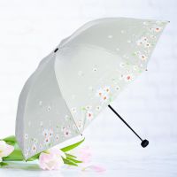 天堂伞折叠晴雨伞双人两用遮阳伞女黑胶防晒伞防紫外线太阳伞简约 雏菊款米黄色