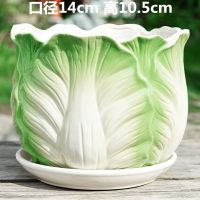 花盆陶瓷特价清仓带托盘大号创意简约吊兰绿萝小多肉花盆套装批发 包菜中号单个