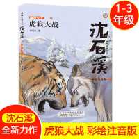 虎狼大战沈石溪动物小说大王系列单本正版儿童文学彩绘注音版 默认