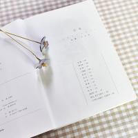 边城 沈从文纪念典藏版 中学生课外书推荐阅读原著正版书籍