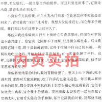 光明于低头的一瞬 迟子建精选集 散文集的书自选随笔 中学生读本