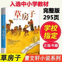 天蓝色的彼岸联合国教科文组织推荐给全球的家长和孩子们伟大书籍 草房子