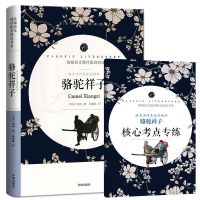 骆驼祥子 七年级下册 海底两万里正版初中版 原著正版老舍 单本骆驼祥子