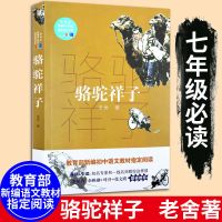 正版骆驼祥子老舍原著长江文艺海底两万里世界文学名著初中生 骆驼祥子