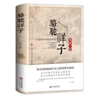 海底两万里和骆驼祥子老舍书原著正版书骆驼祥子初中版七年级下册 送考点手册-骆驼