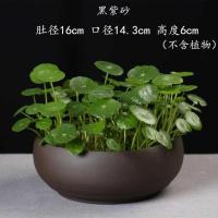水培陶瓷花盆无孔金铜钱草睡莲碗莲绿萝水培水仙盆 紫砂16.5