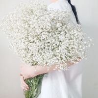 超大束论斤卖满天星干花花束真花云南批发勿忘我客厅鲜花干花摆设 大束 不含瓶 白星