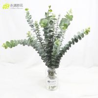 洋桔梗鲜花 基地直发尤加利叶黄莺香水百合家庭生活鲜花 新鲜到家 洋桔梗配叶5支