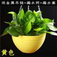5个花盆吊盆大号加厚吊篮挂墙栏杆绿萝多肉植物花卉爬藤垂吊链挂 黄色3个+收藏送肥 口径20厘米