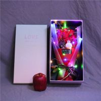 平安果圣诞节创意生日礼物玫瑰花香皂花礼盒装节日送女友老婆闺蜜 圣诞款彩盒红2玩偶9花+平安果+彩灯