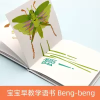 蹦绘本 正版 蹦绘本精装 蹦/蒲蒲兰图画书系列 婴幼儿童宝宝小孩亲子游戏早教启蒙认知绘本图画书籍0-1-2-3-4-5-