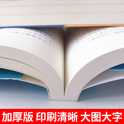 正版 长袜子皮皮三四年级课外书必读老师推荐不注音林格伦儿童文学作品集中国少年儿童出版社7--12岁故事书小学生课外阅读书