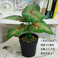 北欧仿真盆栽室内客厅植物盆景假花盆栽摆设桌面装饰ins布置绿植 7叉红心仙玉(黑盆+黑石)
