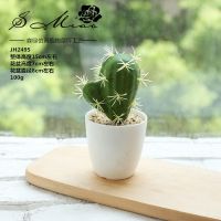 假花创意摆件仿真花仙人掌盆景绿植多肉植物桌面家居仿真植物盆栽 JH2495(含盆)
