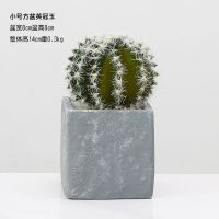 仿真植物盆栽绿植橱窗客厅假仙人掌多肉盆景摆设创意家居装饰摆件 方盆英冠玉小号