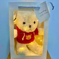 鲜花干花满天星成品花束七夕生日告白礼盒送男女生闺蜜摆放ins 萌萌毛绒小熊+礼袋灯