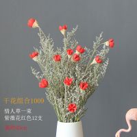 ins干花花束真花装饰摆件天然云南风干尤加利叶麦穗家居客厅摆设 1009花束 不带花瓶
