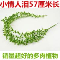 仿真情人泪多肉塑料佛珠挂饰家居客厅室内外设计造景叶子藤蔓植物 57厘米 1条情人泪