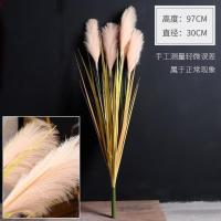 大束5头芦苇仿真花水草干花狗尾巴洋葱草假植物客厅家居插花摆设 仿真芦苇束[黄白色]