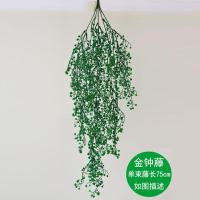 室内客厅管道遮挡墙面壁挂件装饰仿真金钟柳绿植假花艺蔓藤条塑料 绿色 单束含羞藤