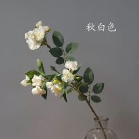 北欧仿真蔷薇花复古文艺多头蔷薇仿真花家居民宿装饰假花婚庆花艺 [秋白色]仿真蔷薇 1支