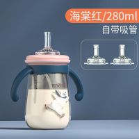 哈妮小熊ppsu儿童吸管杯婴儿学饮杯带吸管喝水喝奶鸭嘴奶瓶大宝宝 红280ML 送两个原装吸嘴+清洁套装