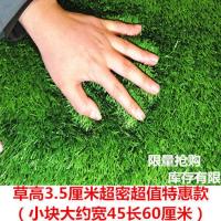 人造草坪地垫幼儿园草坪绿地户外围挡仿真草皮塑料假草坪地毯家用 3.5厘米超密小块(特惠款)