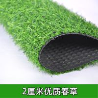 宽0.5/1/1.5/2.5/3/3.5/4米仿真草坪阳台装饰地毯人造假草皮地垫 草长2厘米春草(加厚加密) 购买25米