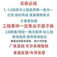 仿真草坪人造草坪地毯人工假草坪幼儿园草坪工地围挡草坪绿草地毯 买前必读