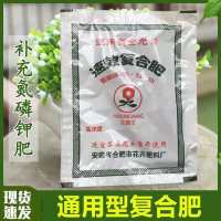 满天星盆栽四季开花带花苞带盆好养耐寒室内阳台庭院易活花期久 速效复合肥 就送[通用型复合肥]