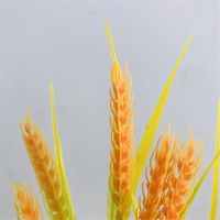 仿真花大麦穗 稻谷塑料水稻婚庆装饰布景 跳舞道具小麦橱窗 七叉麦穗2支