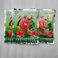 丽格海棠盆栽花卉重瓣带花苞室内盆栽四季开花玫瑰海棠带花苞发货 大肥王3包 原盆发货