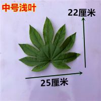 仿真八角金盘叶绿植园艺水果垫片塑料假树叶子配料绿植插花假花叶 中号浅色八角金盘叶(12片)