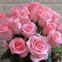 精品戴安娜玫瑰 影星粉玫瑰 基地现采现发 冷链航空玫瑰鲜花批发 精品粉玫瑰20支