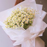 云南基地直发新鲜洋甘菊鲜切花花束家用水养花小雏菊插花生日花束 洋甘菊20支