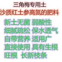 重瓣爬藤三角梅带花盆栽大苗四季开花好养易活庭院室内外花卉植物 三角梅专用土5斤