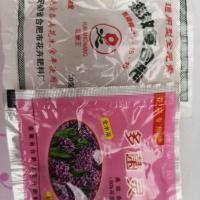 重瓣丽格海棠玫瑰海棠花盆栽带花发货客厅卧室阳台花卉盆栽四季开 花肥+多菌灵 原盆原土