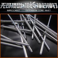 加长抽芯铆钉 锁具铆钉 特长拉铆钉 超粗卯钉m24M32M4M5M6 白色 3.2*11/50只
