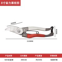 果枝剪园艺剪树枝园林花枝剪子修枝剪强力剪粗枝 普通