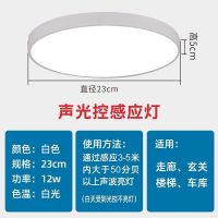 led感应吸顶灯声控楼道楼梯过道家用入户走廊智能雷达人体感应灯 声控感应 白色款直径23厘米12瓦