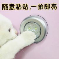 吸顶灯小夜灯阅读灯照明灯寝室宿舍神器拍拍灯 升级明亮拍白灯-1个