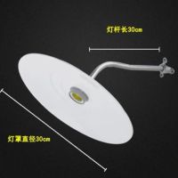 户外LED不锈钢灯罩室外庭院壁灯防水防潮超亮马路弯灯照明工矿灯 30CM烤漆灯罩+30CM弯杆