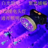 锂电灯头戴式蝎子灯捕蝎灯捉抓逮蝎子头灯可充电豆虫灯紫光灯 双光源锂电强光捕蝎灯