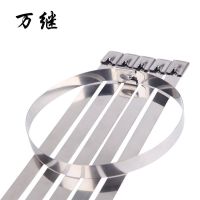 扎带304不锈钢7.9MM电线桥架金属绑带室外捆扎抗氧化硬化船用束线 7.9*100mm 20根(体验卡