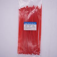彩色尼龙扎带200mm长度 100条装中号捆扎理线收纳线材自锁式扎带 红色 厂标4x200(实宽2.7mm)
