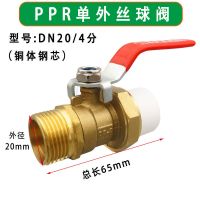 全铜PPR外丝活接球阀4分20内丝热熔水管开关6分25外牙暖气阀门1寸 PPR20(4分)单外丝 铜体 钢球