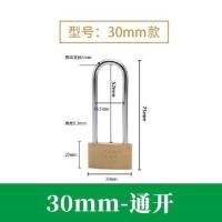 地球全铜加长挂锁柜子门锁防盗小锁头通开通用挂锁箱包锁电力锁 HL403B长梁30mm通开