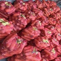 装玉米的编织袋大网袋子柚子水果蔬菜网眼袋透气网兜网状大号网袋[7月15日发完] 50条绿色40x60通用装25斤