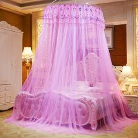 [送备用粘胶] 蚊帐家用吊挂圆顶吊顶蚊帐支架公主风加密大纹帐 七彩[直径1米]-粉色 1.2*2米床