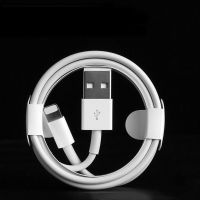 苹果数据线原装7/8plus/X/11/12/6s/ipad充电器快充线iPhone手机 0.25米[1年质保] 1条数